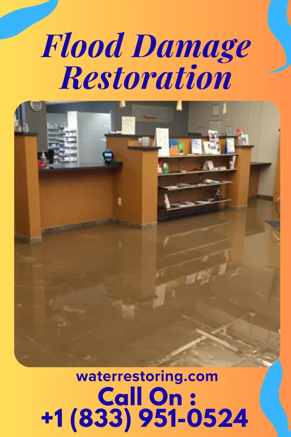 Flood Damage Restoration in Homeland Park, SC