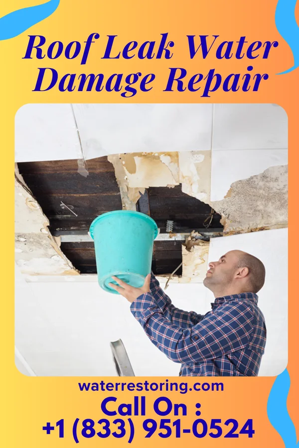 Roof Leak Water Damage Repair in Homeland Park, SC
