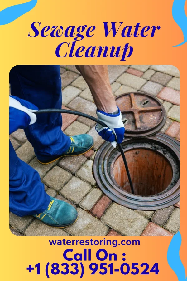 Sewage Water Cleanup in Homeland Park, SC